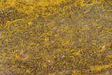 Polished Miriam Stone Slab - India #130900-1